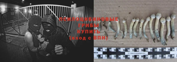 MDMA Медвежьегорск