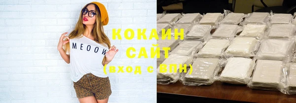 индика Абинск
