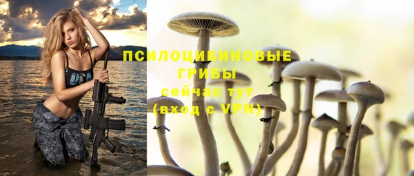 синтетический гашиш Алексеевка